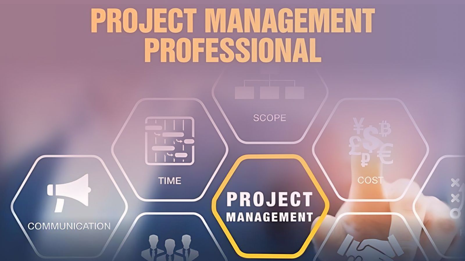 Project Management Professional (PMP)